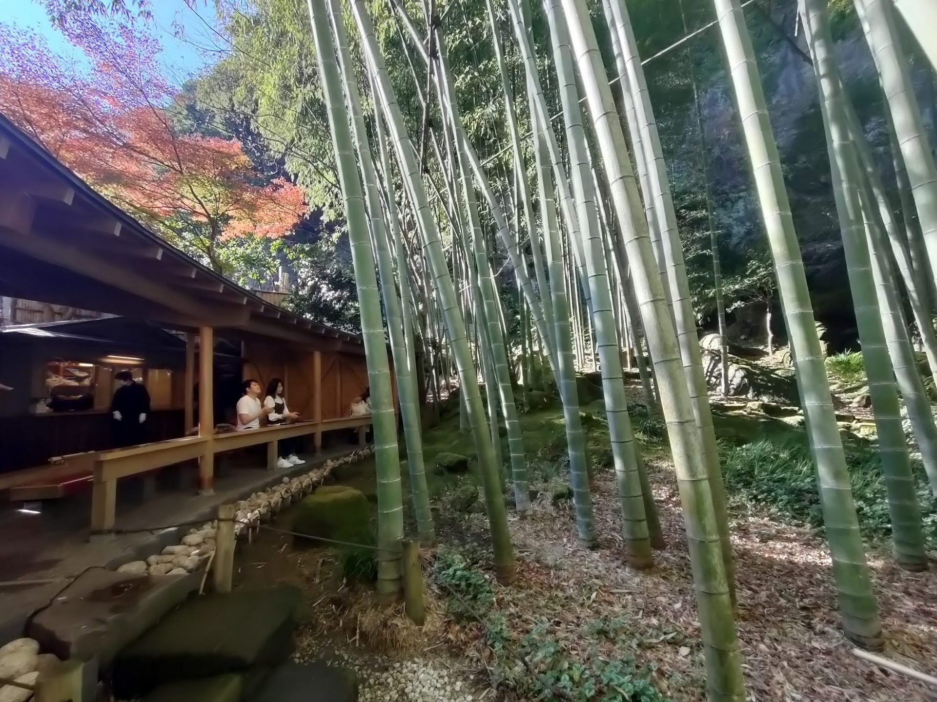 🏯 불광산 법수사(붓코산 호스이지) 이미지 5